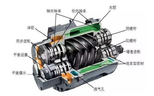 螺杆香蕉视频色版APP比活塞機的有點及型號