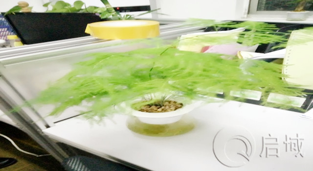 香蕉视频色版APP金屬辦公室