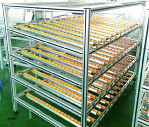 流利條貨架1 流利條貨架1